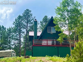 413 Lake Dr W, Divide, CO 80814