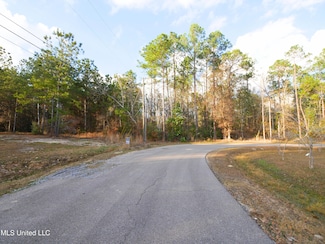 0 Choctaw Place, Kiln, MS 39556