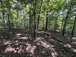 0 Big Creek Rd Unit 24149976, Highland, AR 72542