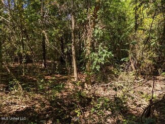 2000 Summerlin Bayou Rd, Vancleave, MS 39565