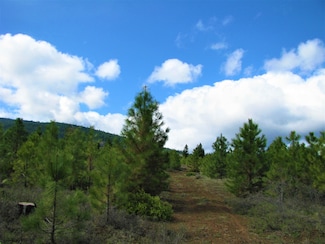 0 Green Springs Hwy Unit 2200, Klamath Falls, OR 97601