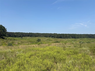 TBD 000 County Road 4378, Tenaha, TX 75974