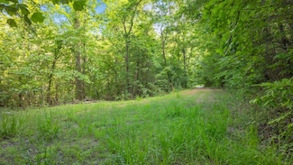 000 Santeetlah Ridge, Franklin, NC 28734