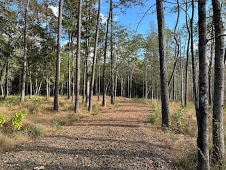 580 County Road 061 Unit 580 County Road 061, Jasper, TX 75951