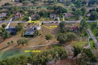 493 E Dakota Ct, Hernando, FL 34442