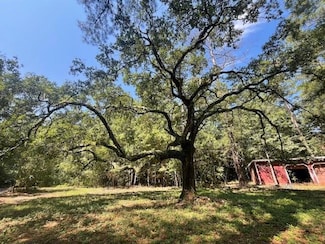 320 Buras Ranch Rd, Covington, LA 70433