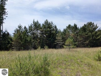 V/L Curtis Rd, Hale, MI 48739