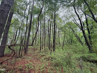 0 Poker Shake Ln Unit 10103109, Louisburg, NC 27549