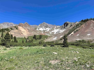 TBD Cr 51, Silverton, CO 81433