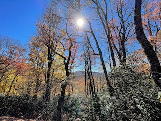 Lot 10 Shirley Pressley Rd, Glenville, NC 28736