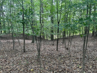 0 Leonard St Unit 24051907, Nunica, MI 49448