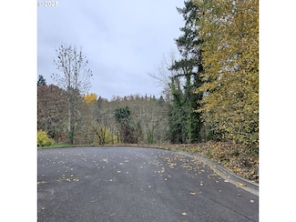 706 Elizabeth Ct, Dayton, OR 97114