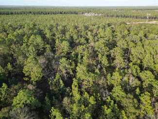 0 Big Buck Rd, Milton, FL 32583