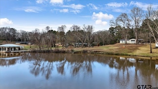 14419 W Peninsula Rd, Whitehouse, TX 75791
