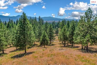 NNA Hollister Hills Dr, Hauser, ID 83854