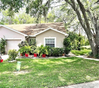 35226 Janine Dr, Zephyrhills, FL 33541