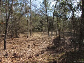 Lot 35 NW Ridgewood Rd, Dunnellon, FL 34431