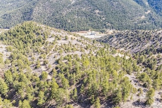 0 Wild Wagoner Trail Unit REC6676121, Dumont, CO 80436