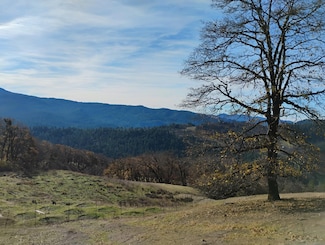 11 Bronco Ct, Dinsmore, CA 95526