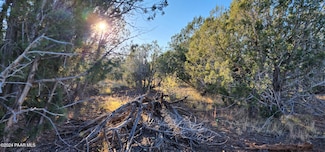 88-D Cliff Rose, Ash Fork, AZ 86320