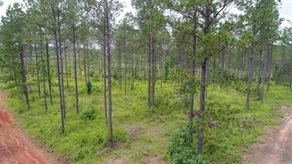 Bethlehem Rd, Equality, AL 36026