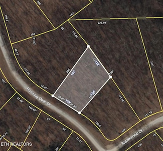 0 Running Deer Unit 1305819, Crab Orchard, TN 37723