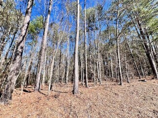 0 Crystal Springs Rd, Graniteville, SC 29829