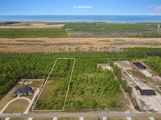 Lot 8 Jones Homestead Rd, Port St. Joe, FL 32456