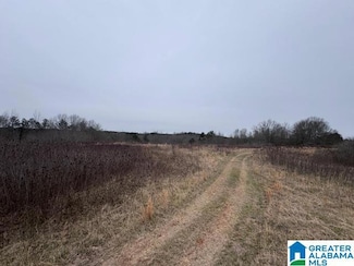 68 Gentry Dr, Ashland, AL 36251