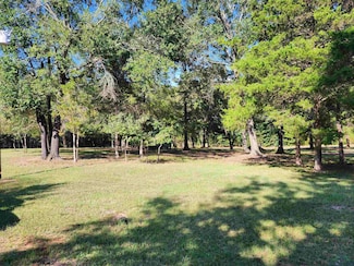 12865 Fm 729 Unit 459 Bass St., Avinger, TX 75563