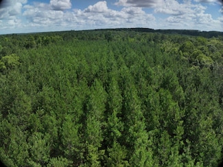 Payton Rd, Garfield, GA 30441