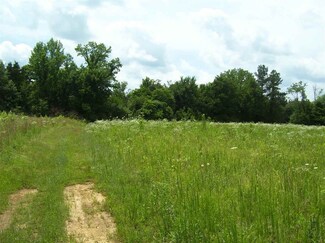 0 Beckham Ln Unit 9929308, Stantonville, TN 38379