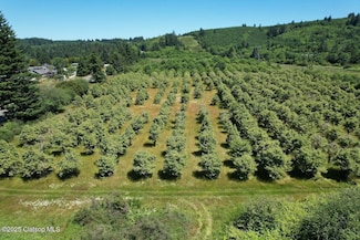 0 Vacant Land Off Hwy 30, Astoria, OR 97103