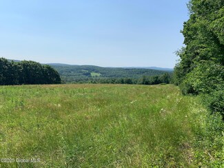 66 Old Gale Hill Rd, New Lebanon, NY 12060