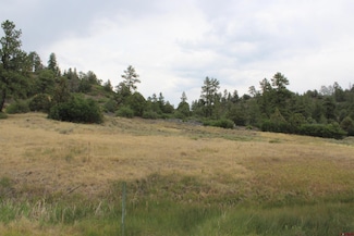 121 Elbert Place, Pagosa Springs, CO 81147