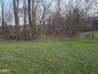 000 Fishpond Rd, Chuckey, TN 37641
