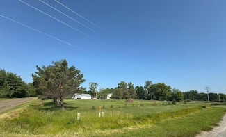 14382 S Chapin Rd, Elsie, MI 48831