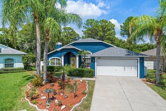 1411 Watermill Cir, Tarpon Springs, FL 34689