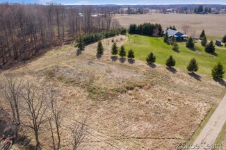 V/L Usborne Rd, Freeport, MI 49325