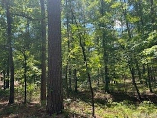 0 Cartaya Ln, Hot Springs Village, AR 71909