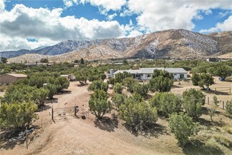 10814 Juniper Mesa Rd, Littlerock, CA 93543