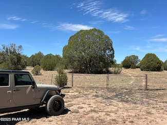 21 Cook's Trail, Ash Fork, AZ 86320
