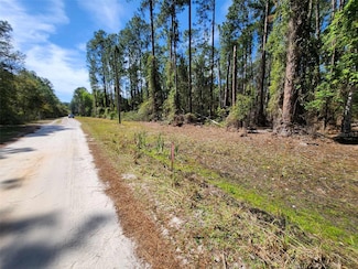 114 Mosswood St, Georgetown, FL 32139