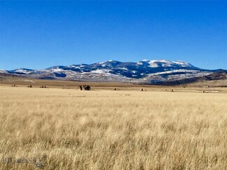 Lot 125 Browntine Ln, Ennis, MT 59729