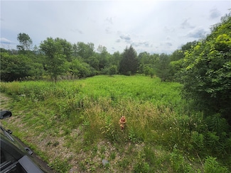 108 Scott Ave, Wellsville, NY 14895