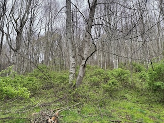 TBD Highway 19 E, Newland, NC 28657