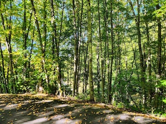 00 Loblolly Way Unit C7, Maggie Valley, NC 28751