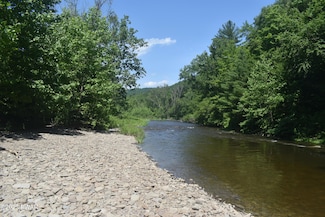 0 Pine Mill Rd, Equinunk, PA 18417