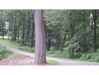 22107 Yoder Rd, Minerva, OH 44657