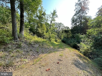 0 Tupelo Loop Unit 19649763, Springfield, WV 26763